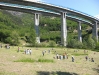 CIMG1428
