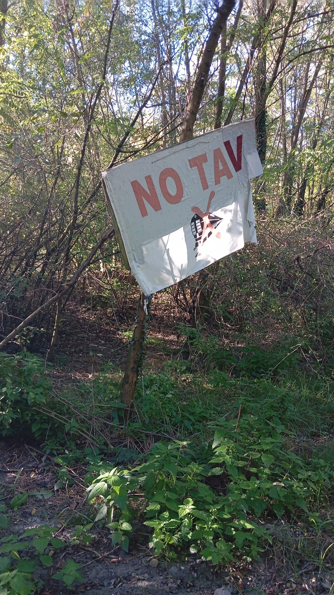 Immagine di copertina per il post