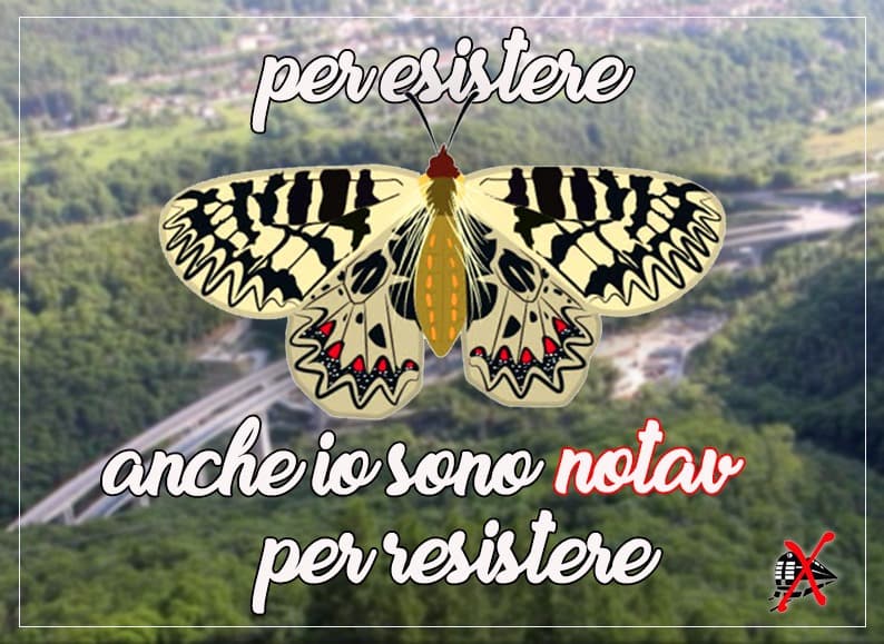 Immagine di copertina per il post