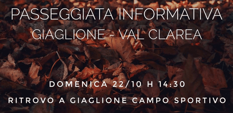 Immagine di copertina per il post