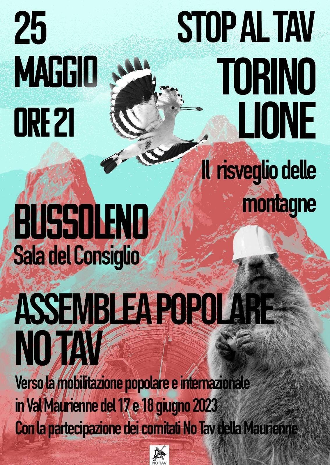 Immagine di copertina per il post