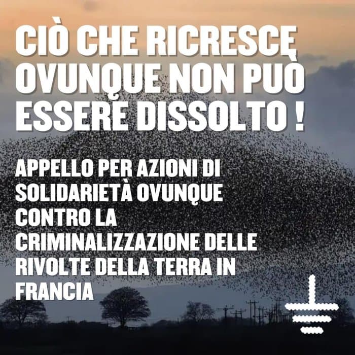 Immagine di copertina per il post