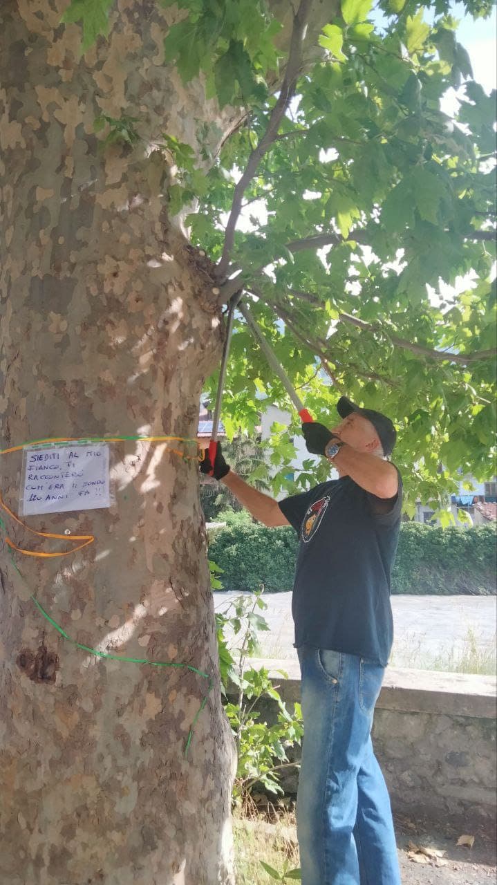 Immagine di copertina per il post