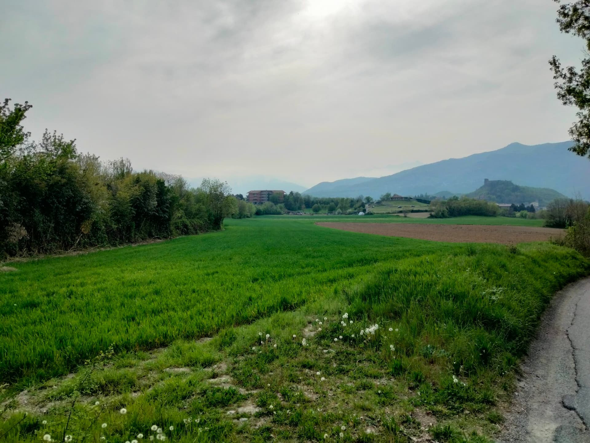 Immagine di copertina per il post