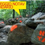 CALENDARIO CAMPEGGIO DALL’11 AL 22 LUGLIO