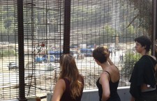 Studenti in Clarea: varchi aperti nel cantiere (FOTO)