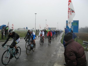 64163_268653323269216_891384352_n