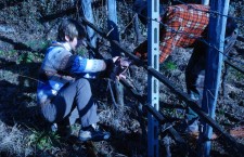 Una giornata nei campi di Stefano… Solidarietà No Tav