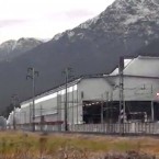 Una storia di acciaierie, diossine, lavoro schiavo e campi di grano