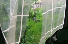 Ci sono danneggiamenti che non fanno notizia