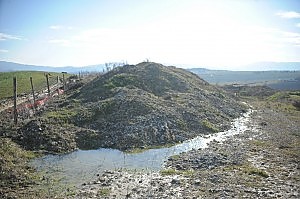 Chissà perchè a Torino tutto questo non sarebbe mai avvenuto