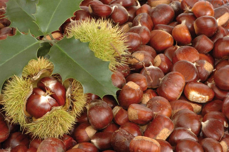 Apericena con castagnata venerdì 9/10 alla centrale