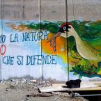 Valsusa, territorio da sacrificare