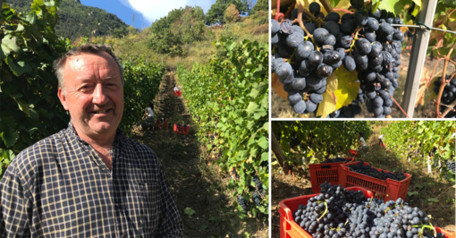 Viaggio nei vigneti eroici della zona rossa: “Da anni resistiamo a fianco del cantiere Tav [VIDEO]