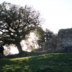 Confluenza 0.1 – Approdo sui territori che combattono la speculazione energetica