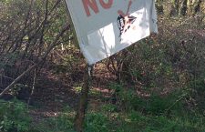 Il posto delle fragole e la scure del Tav