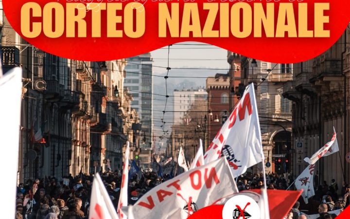 VERSO LA MANIFESTAZIONE NAZIONALE DEL 31 GENNAIO A TORINO – SPEZZONE DEL MOVIMENTO NO TAV