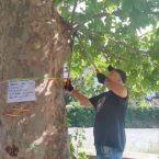 La procuratrice generale Musti si lancia in una nuova campagna forcaiola