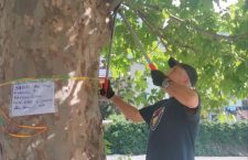 La procuratrice generale Musti si lancia in una nuova campagna forcaiola