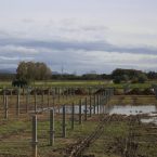 Dossier sugli investimenti israeliani nei progetti di energia rinnovabile in Italia