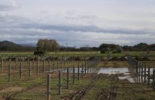 Dossier sugli investimenti israeliani nei progetti di energia rinnovabile in Italia