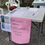 C’era una volta un platano – Storie di Valle