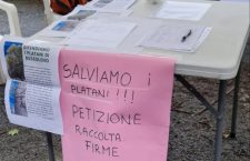 C’era una volta un platano – Storie di Valle