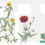 TELT racconta la biodiversità dopo aver devastato la Val Clarea