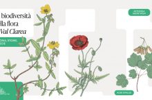 TELT racconta la biodiversità dopo aver devastato la Val Clarea