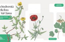 TELT racconta la biodiversità dopo aver devastato la Val Clarea