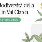 Più che impressione, fa rabbia.