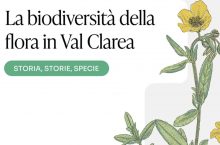 Più che impressione, fa rabbia.