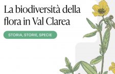 Più che impressione, fa rabbia.