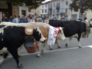 Tav, siamo montanari mica masochisti